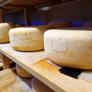 Tomme de Grand Heid Ail des ours