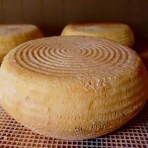 Tomme des Corrières